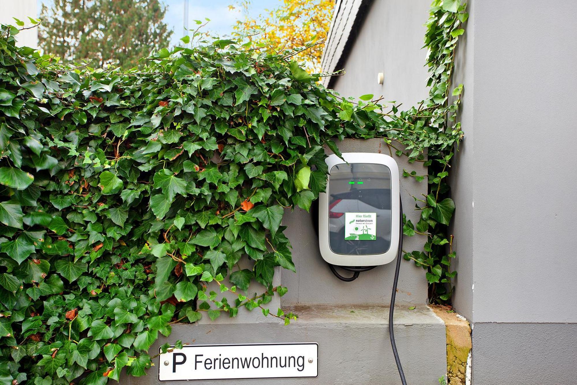 Ferienwohnung Im Eichholz アルンスベルク エクステリア 写真